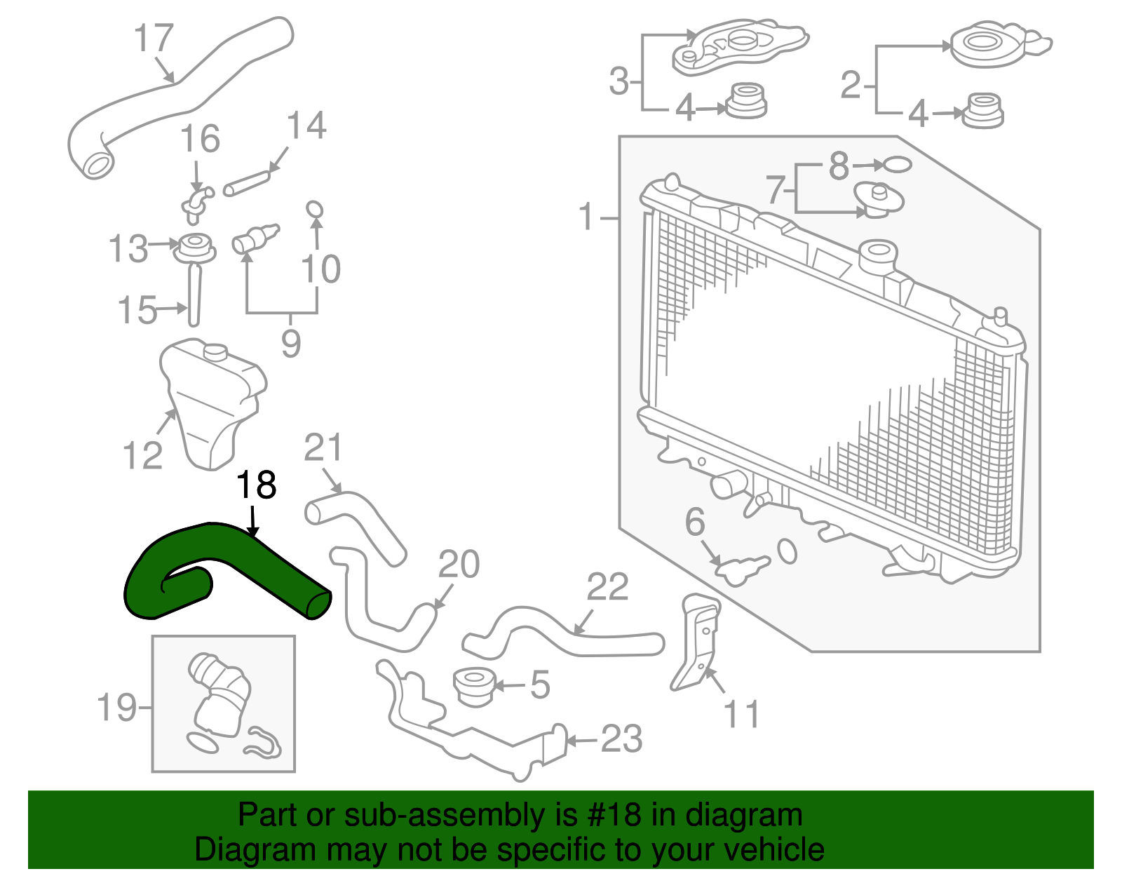 OEM 2003-2007 Honda Accord Lower Hose 19505-RAA-A00 | Honda Automotive ...
