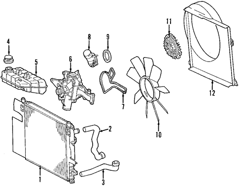 Radiator & Components for 1999 Mercedes-Benz ML 430 #1