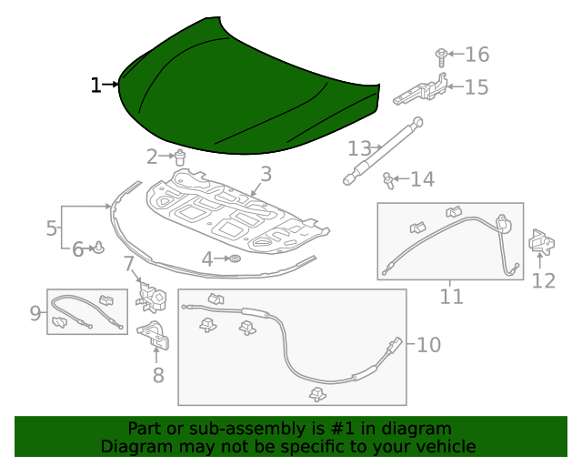 20192024 Acura RDX Hood 60100TJBA92ZZ OEM Parts Online