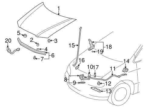 Hood & Components for 2002 Toyota Sienna | Toyota Parts|Toyota Online ...