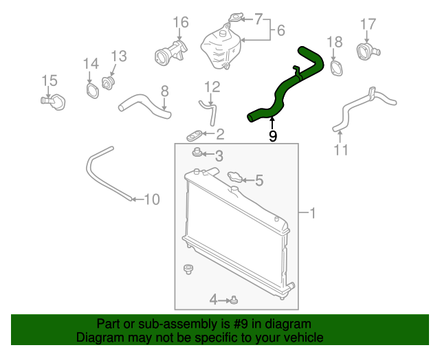 BP4W15185B Radiator Hose 19992005 Mazda Miata Werner Mazda Parts