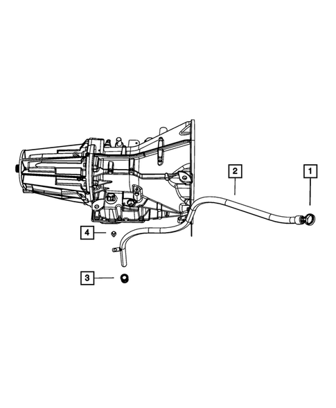 Case, Extension, Oil Pan, and Indicator (Dipstick) for 2009 Dodge 