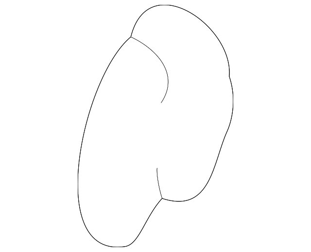 Guide Assembly-Hood - GM (15771212)