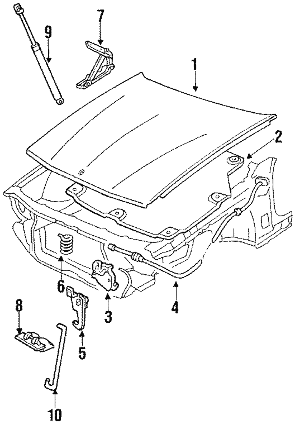 Safety Catch - GM (25661089)